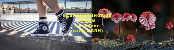 дурь Щучье