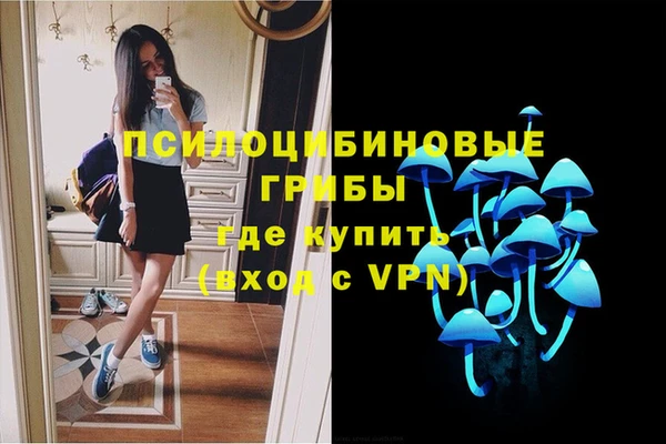 скорость Зеленодольск