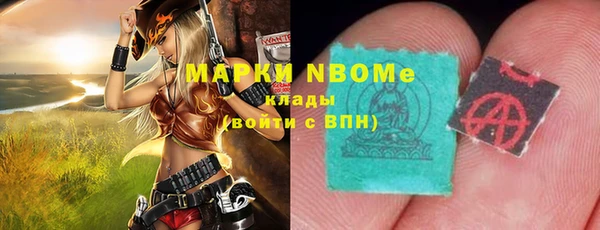 дмт Инта